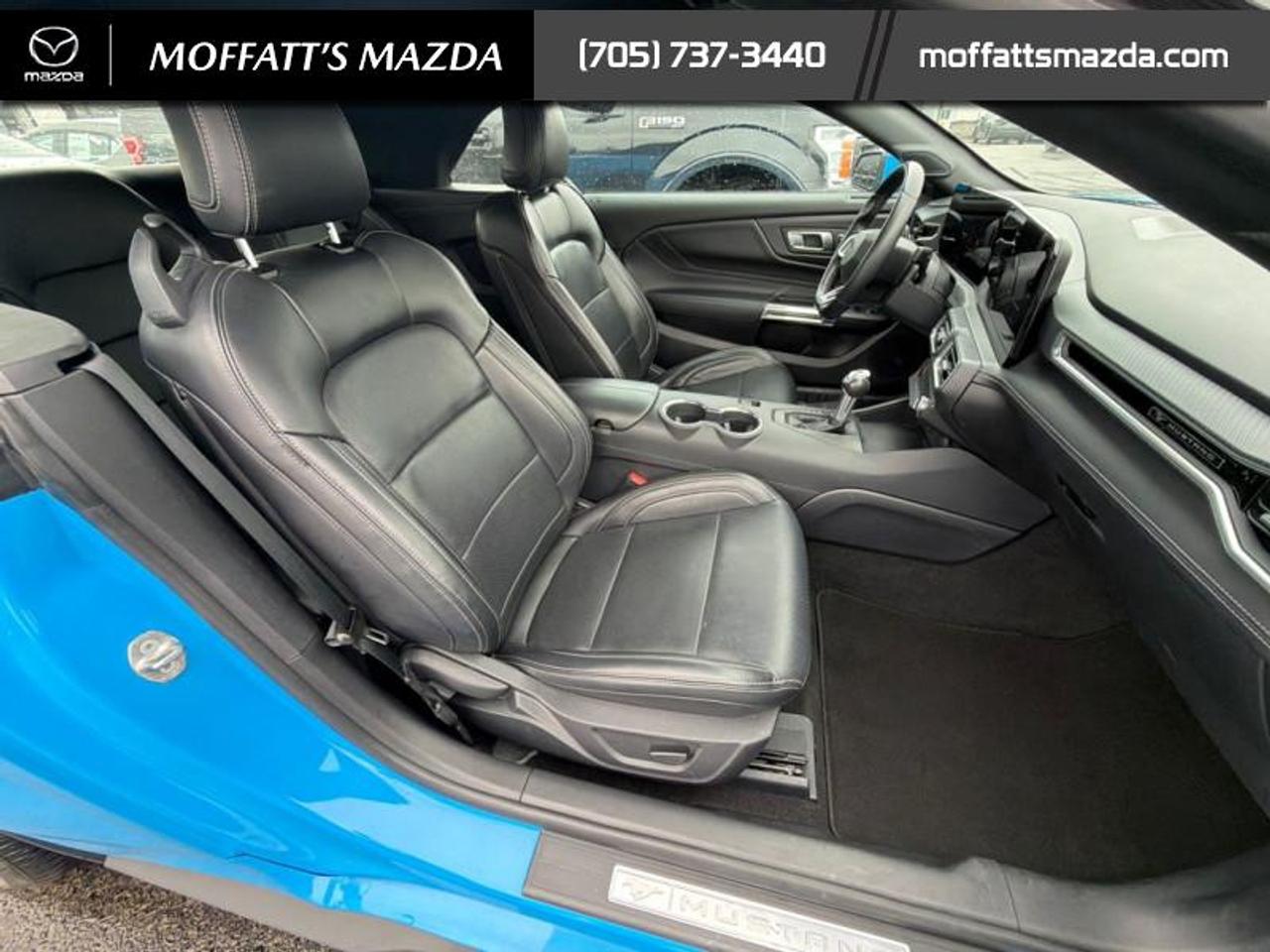 2025 Ford Mustang EcoBoost Photo