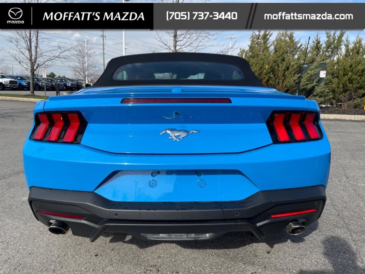 2025 Ford Mustang EcoBoost Photo