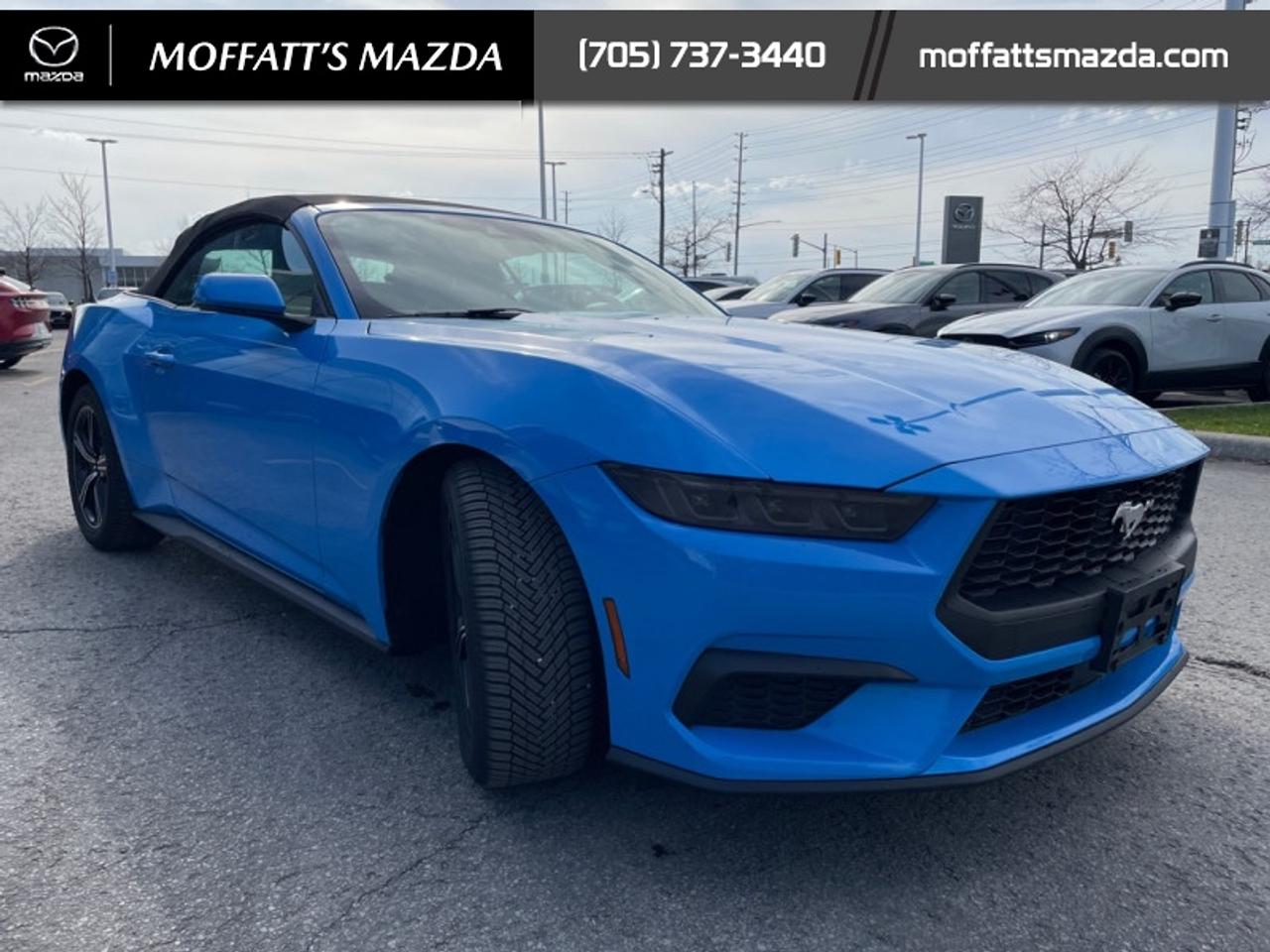 2025 Ford Mustang EcoBoost Photo