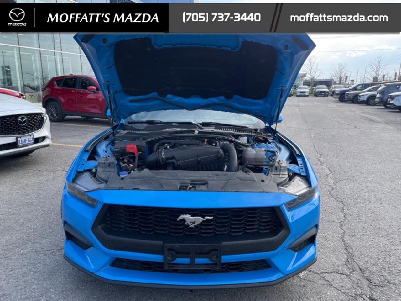 2025 Ford Mustang EcoBoost Photo