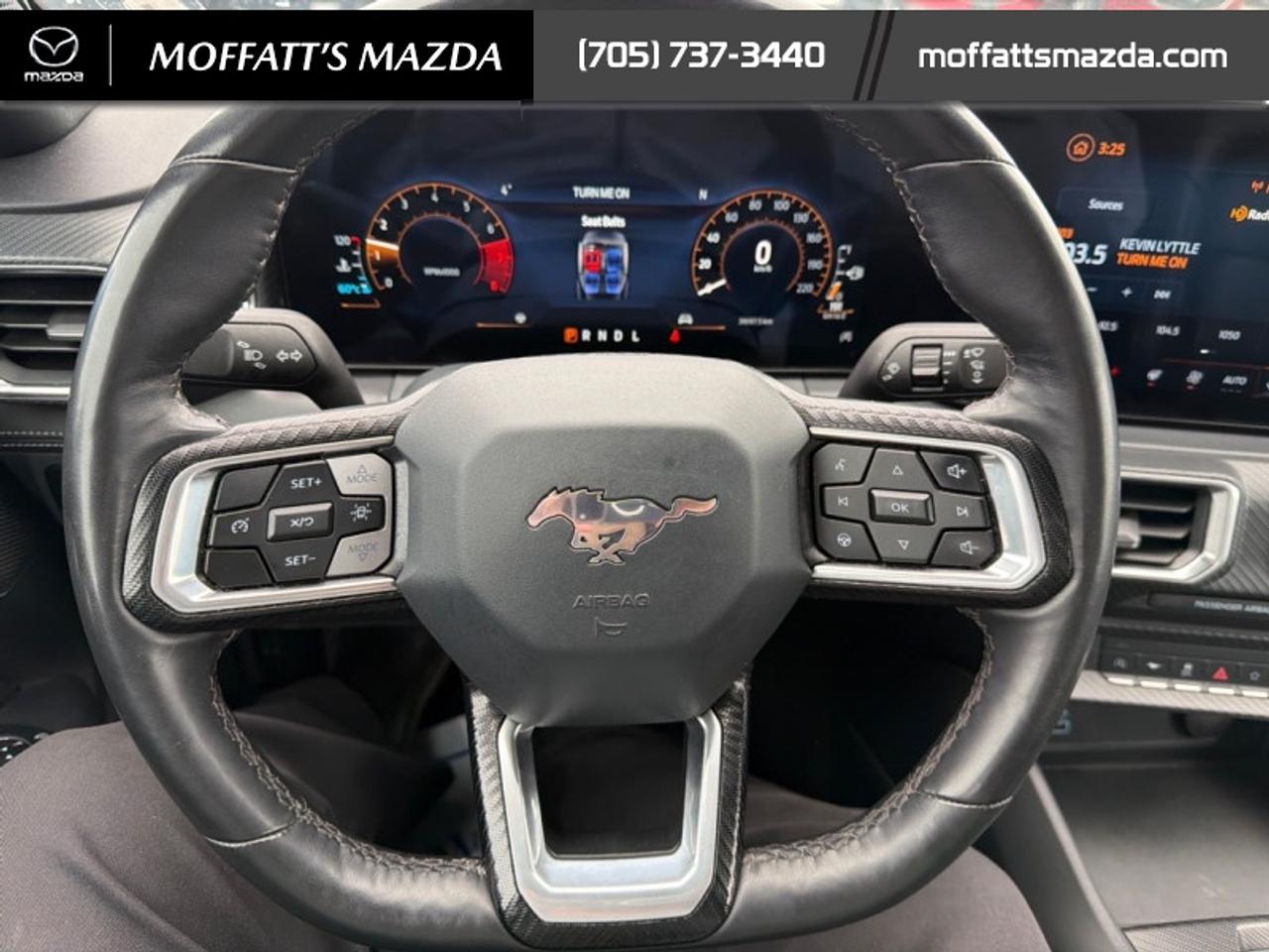 2025 Ford Mustang EcoBoost Photo