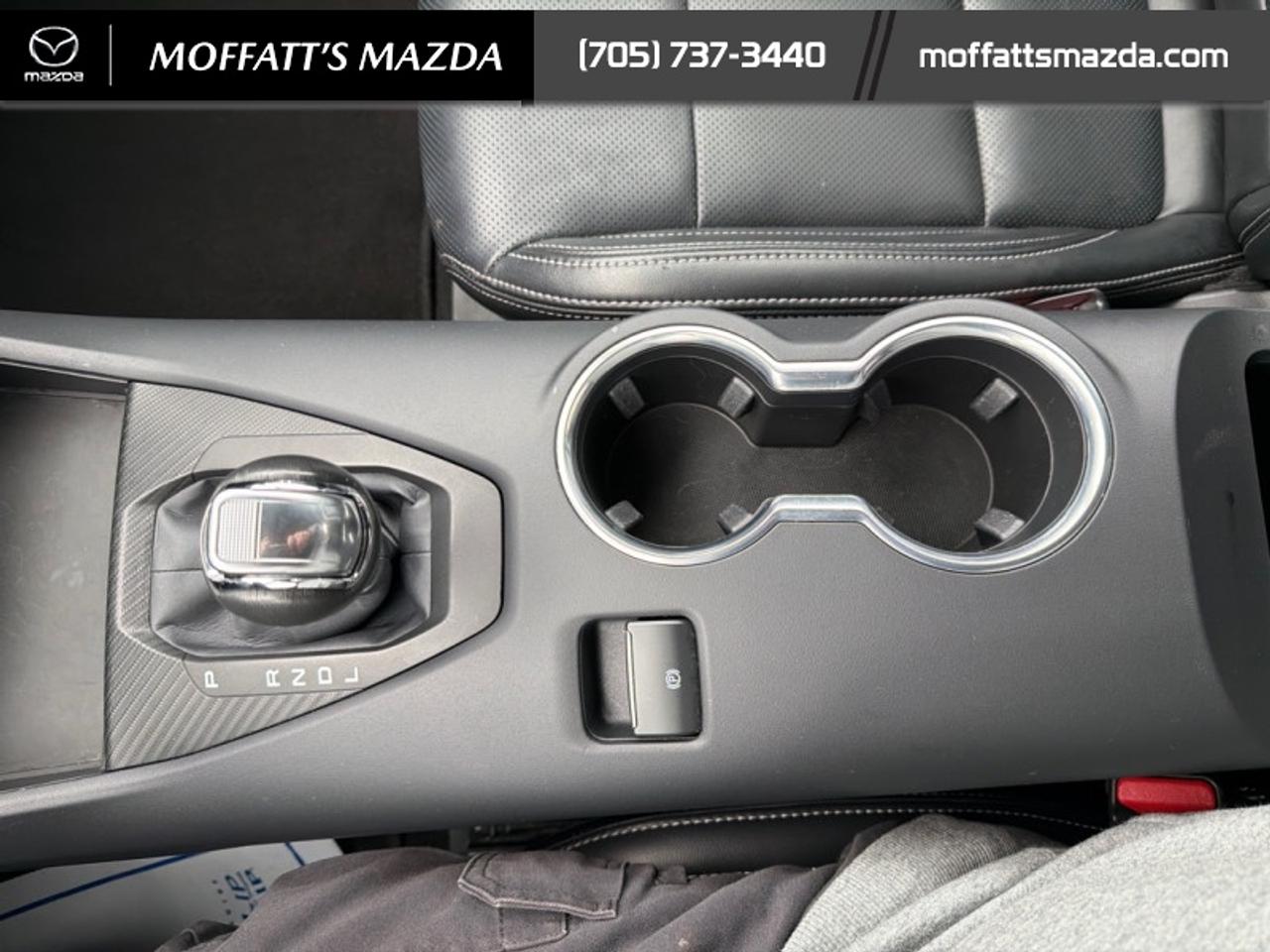 2025 Ford Mustang EcoBoost Photo