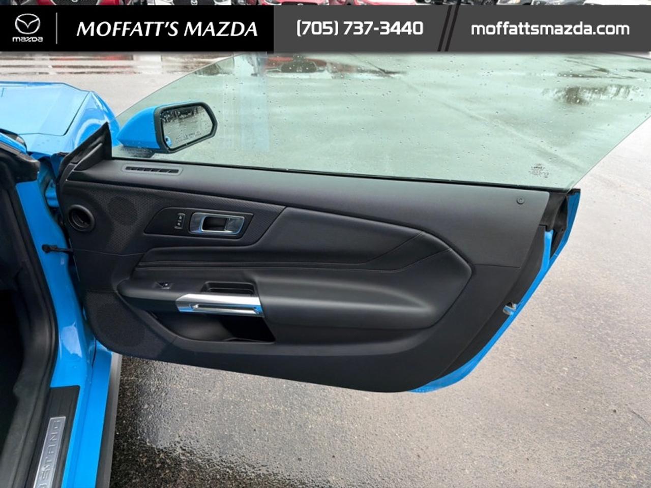2025 Ford Mustang EcoBoost Photo