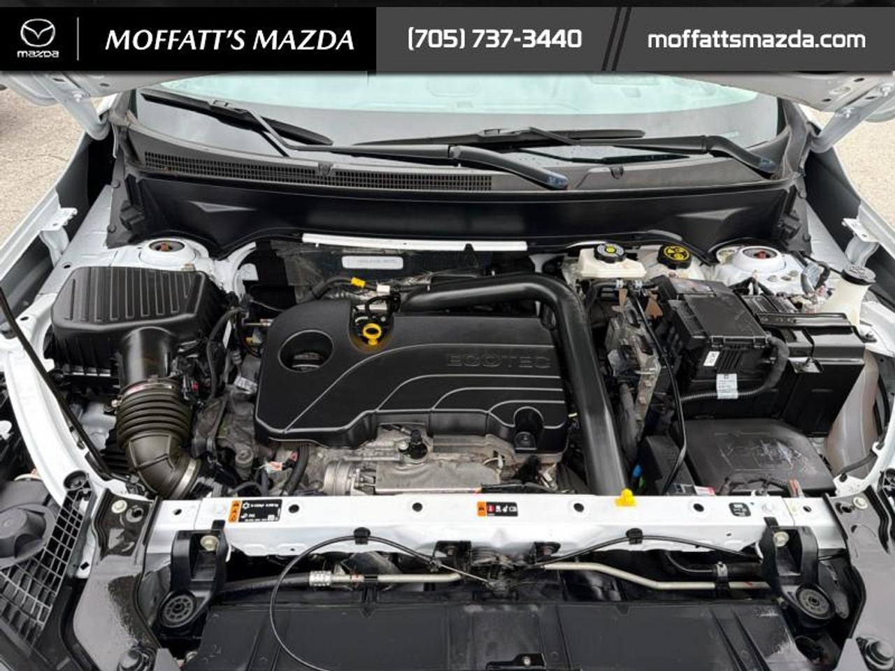 2024 GMC Terrain Denali Photo