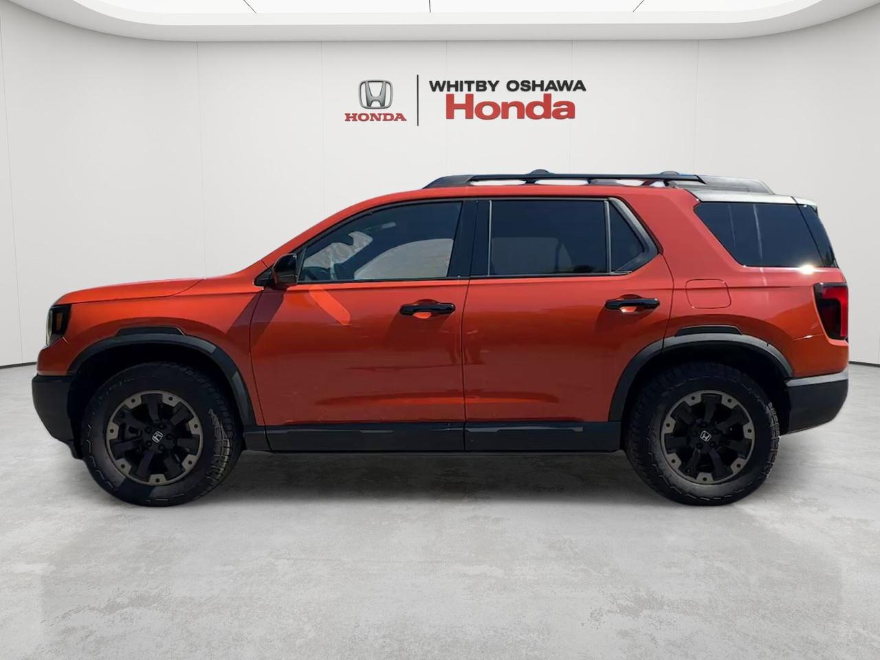 2026 Honda Passport Touring Photo