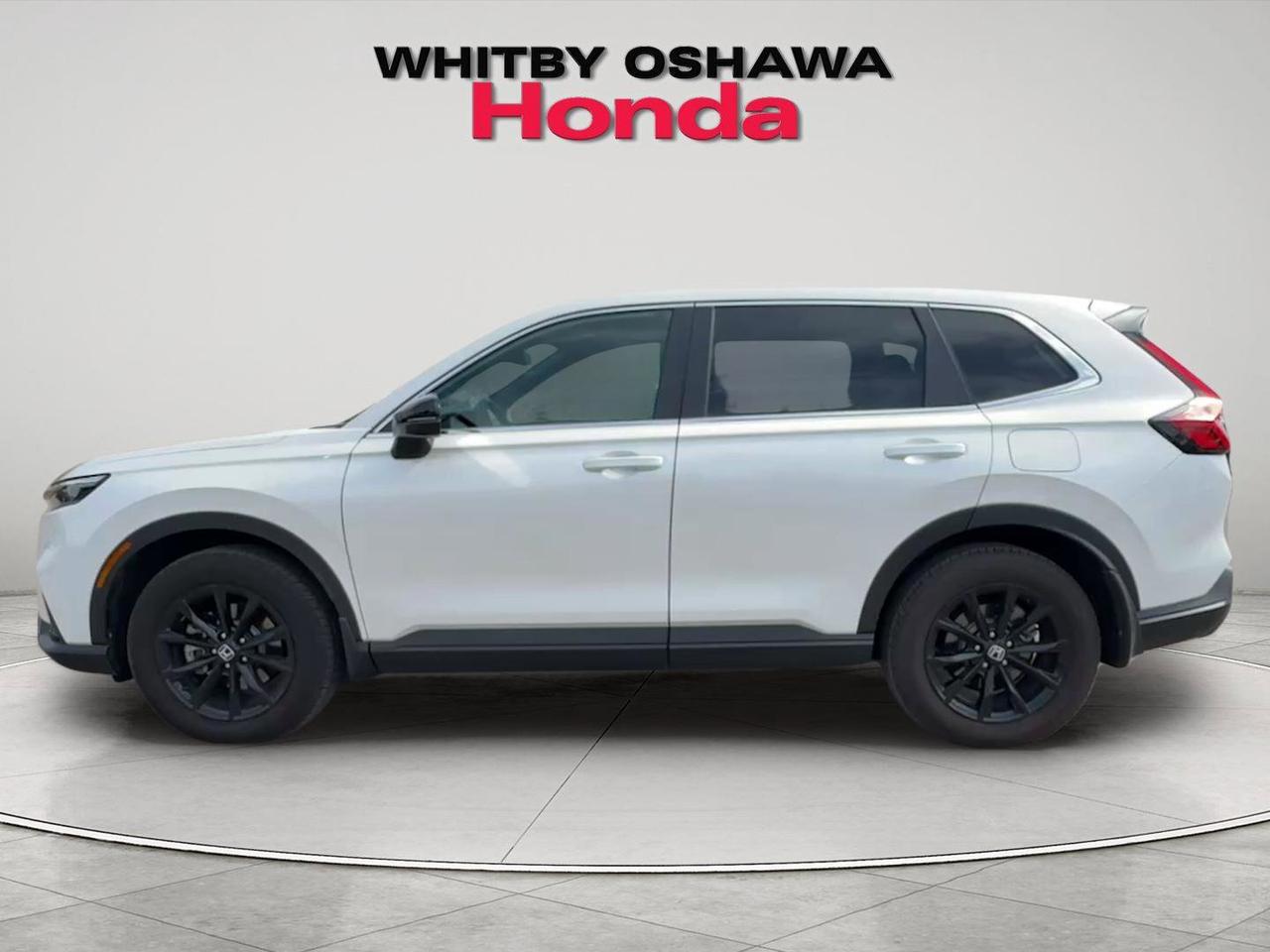 2024 Honda CR-V Hybrid EX-L AWD Photo