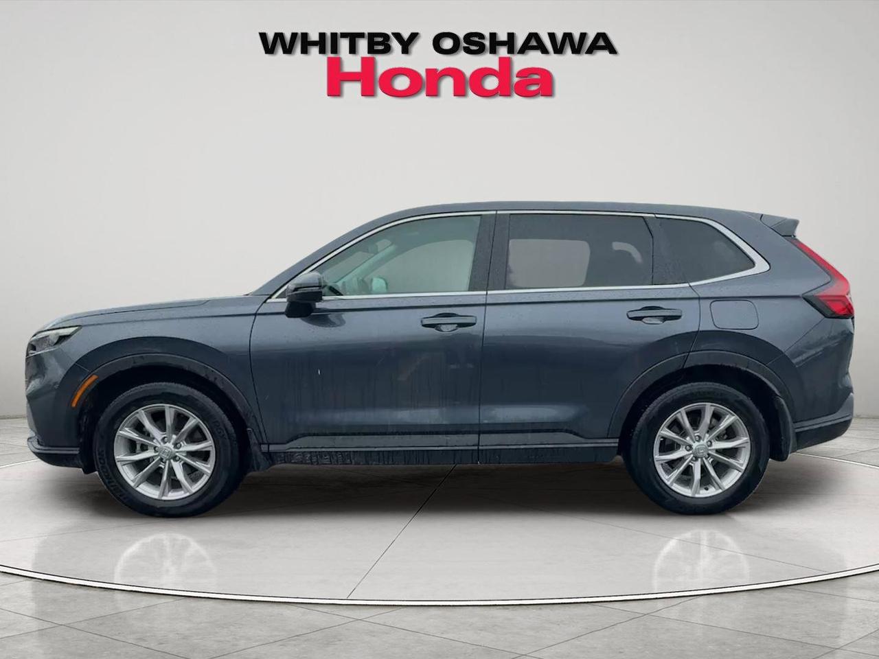 2024 Honda CR-V EX-L AWD Photo