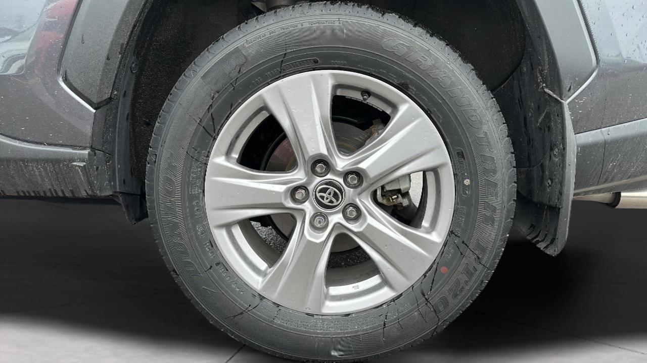 2025 Toyota RAV4 XLE AWD Photo