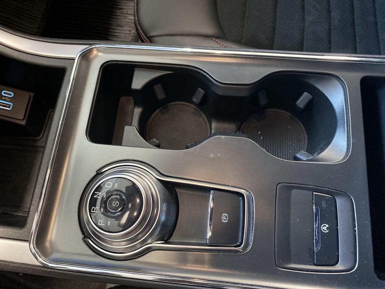 2024 Ford Edge  Photo