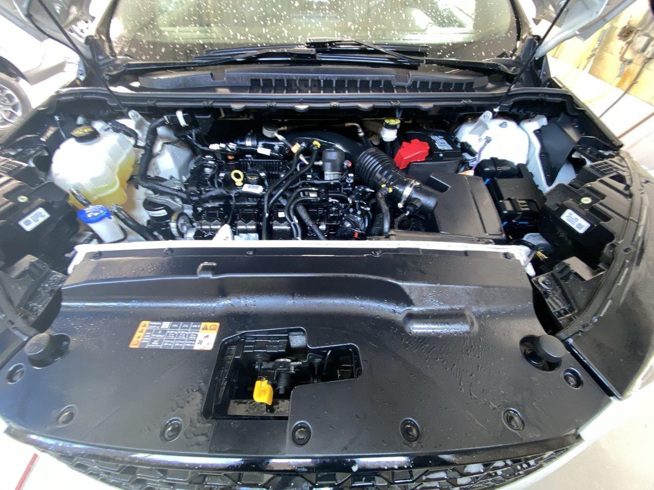 2024 Ford Edge  Photo