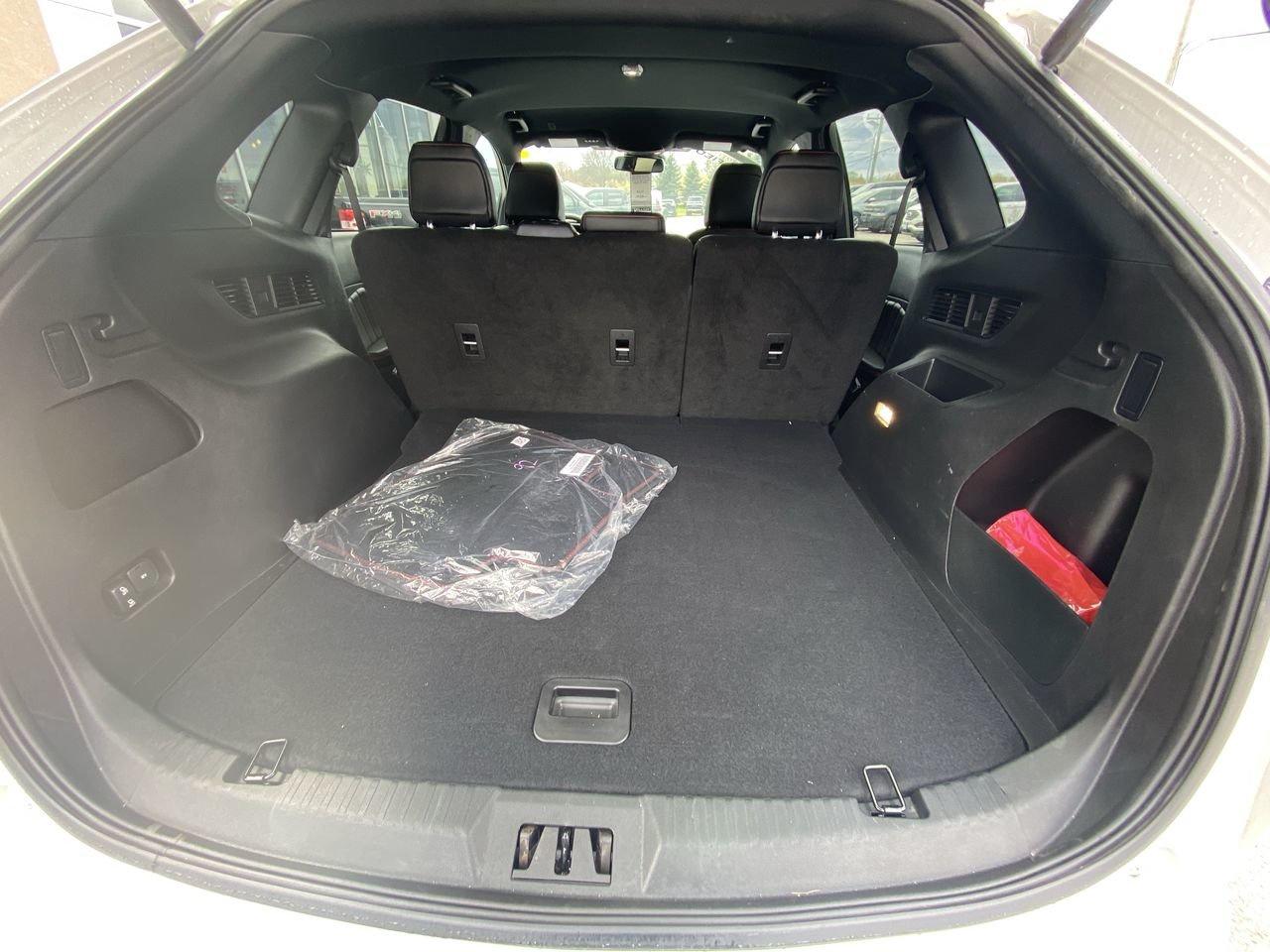 2024 Ford Edge  Photo