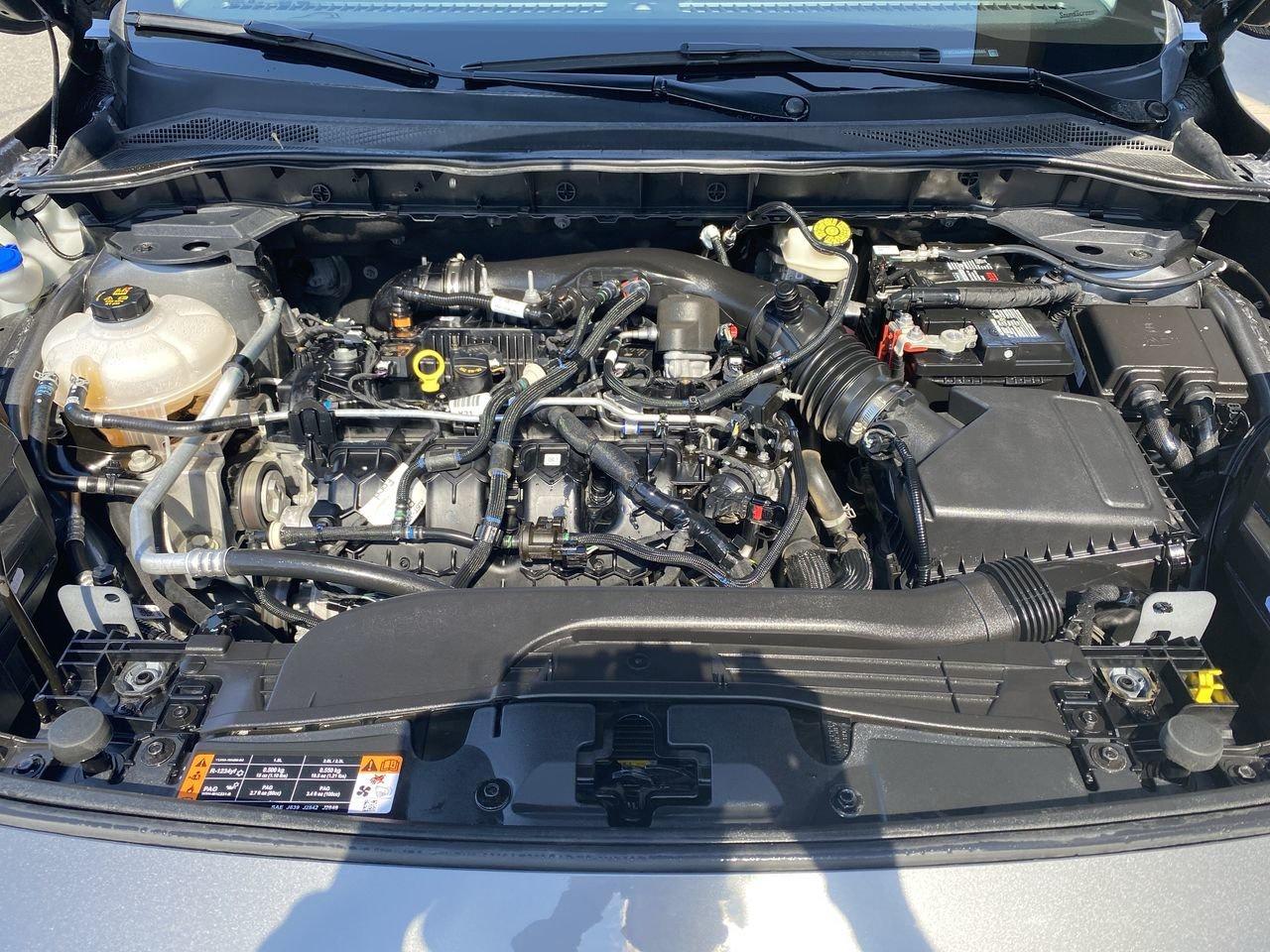 2022 Ford Escape Titanium Photo
