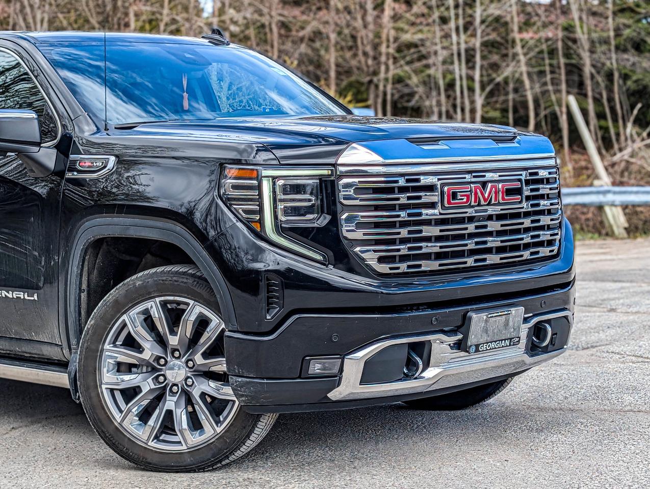 2025 GMC Sierra 1500 Denali Photo3