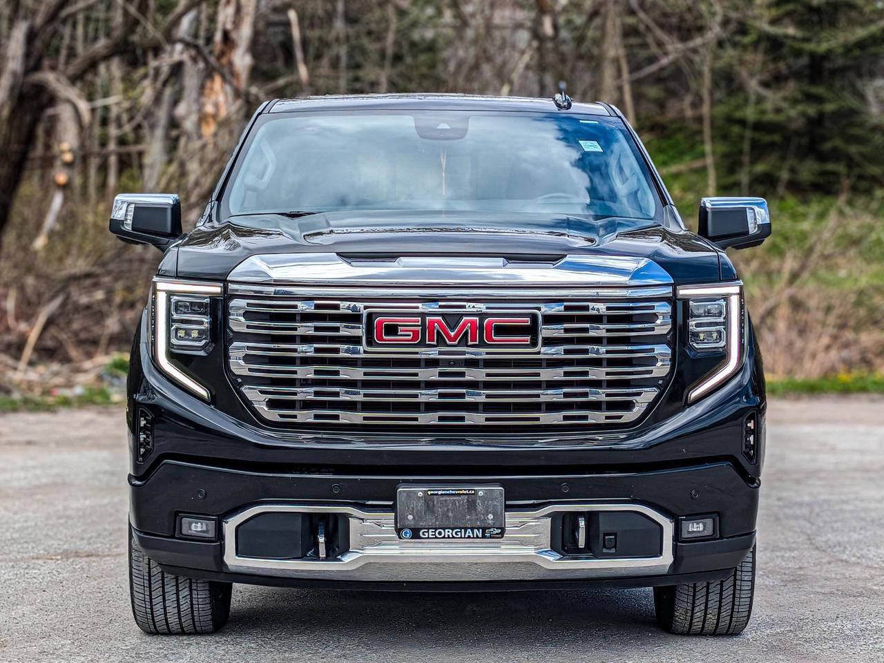 2025 GMC Sierra 1500 Denali Photo