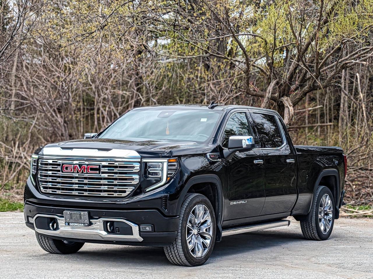 2025 GMC Sierra 1500 Denali Photo