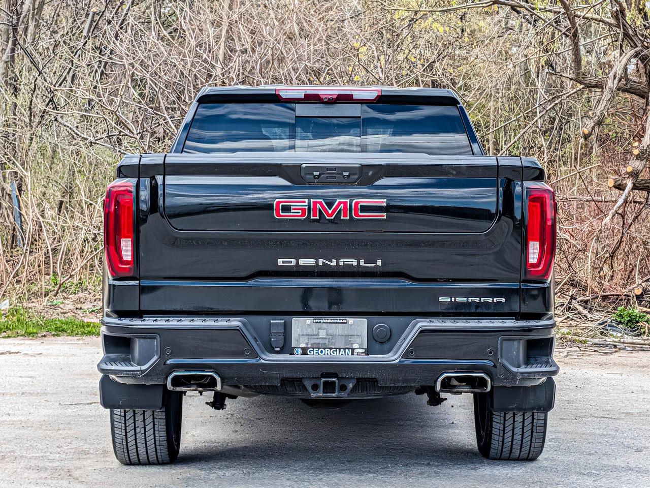 2025 GMC Sierra 1500 Denali Photo