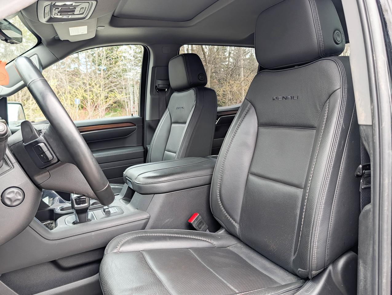 2025 GMC Sierra 1500 Denali Photo