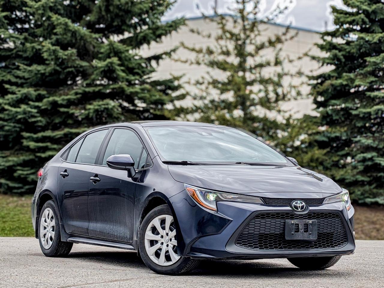 2022 Toyota Corolla LE Photo