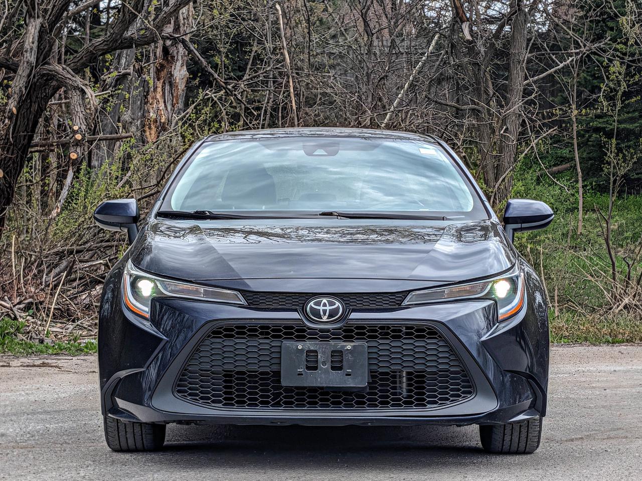 2022 Toyota Corolla LE Photo