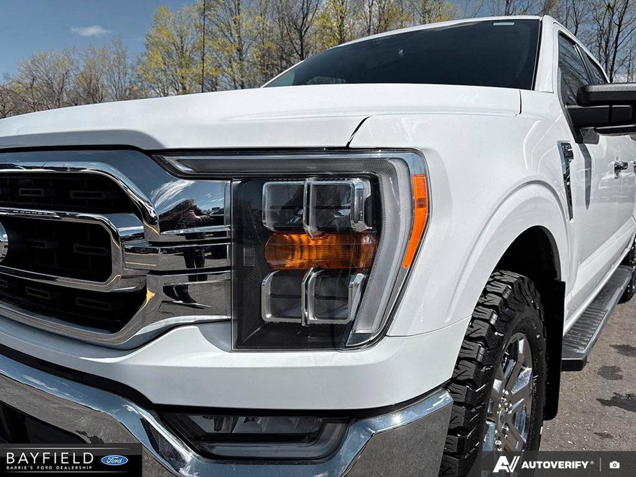 2021 Ford F-150  Photo