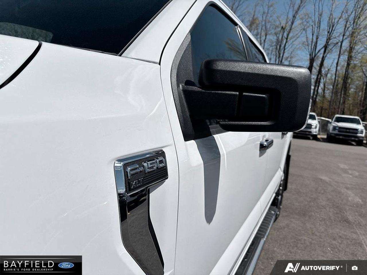 2021 Ford F-150  Photo