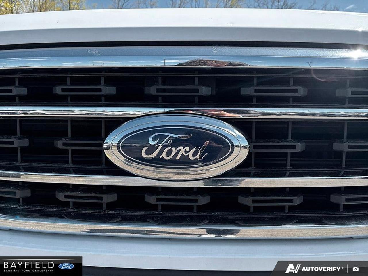 2021 Ford F-150  Photo