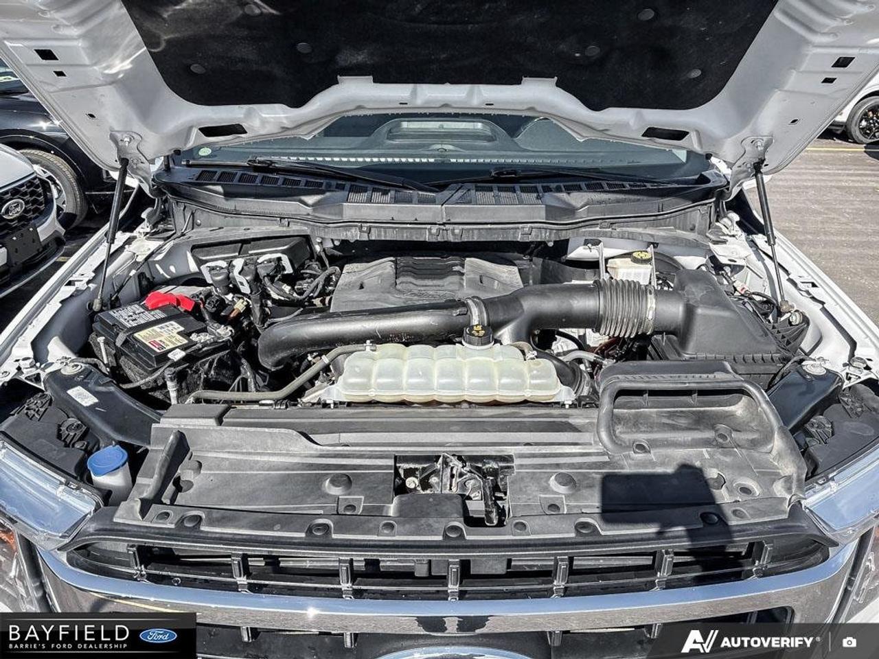 2022 Ford F-150  Photo