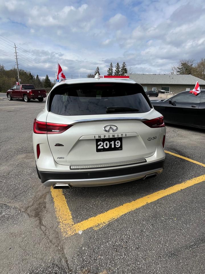 2019 Infiniti QX50 LUXE 2LTR. 4 CYL. AWD  CERTIFIED INCL. WARRANTY Photo3