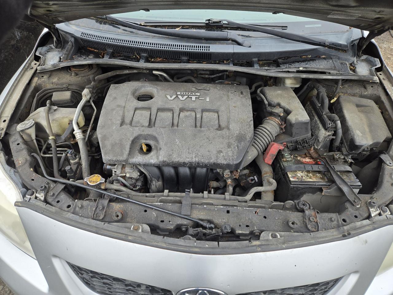 2010 Toyota Corolla CE Photo
