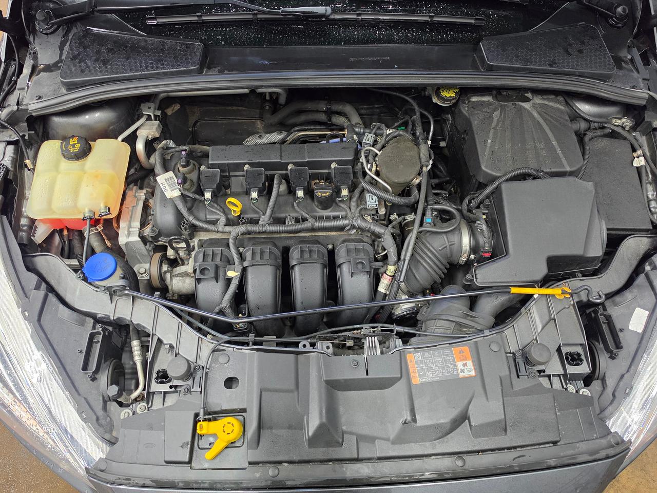 2015 Ford Focus 5DR HB SE - Photo #15