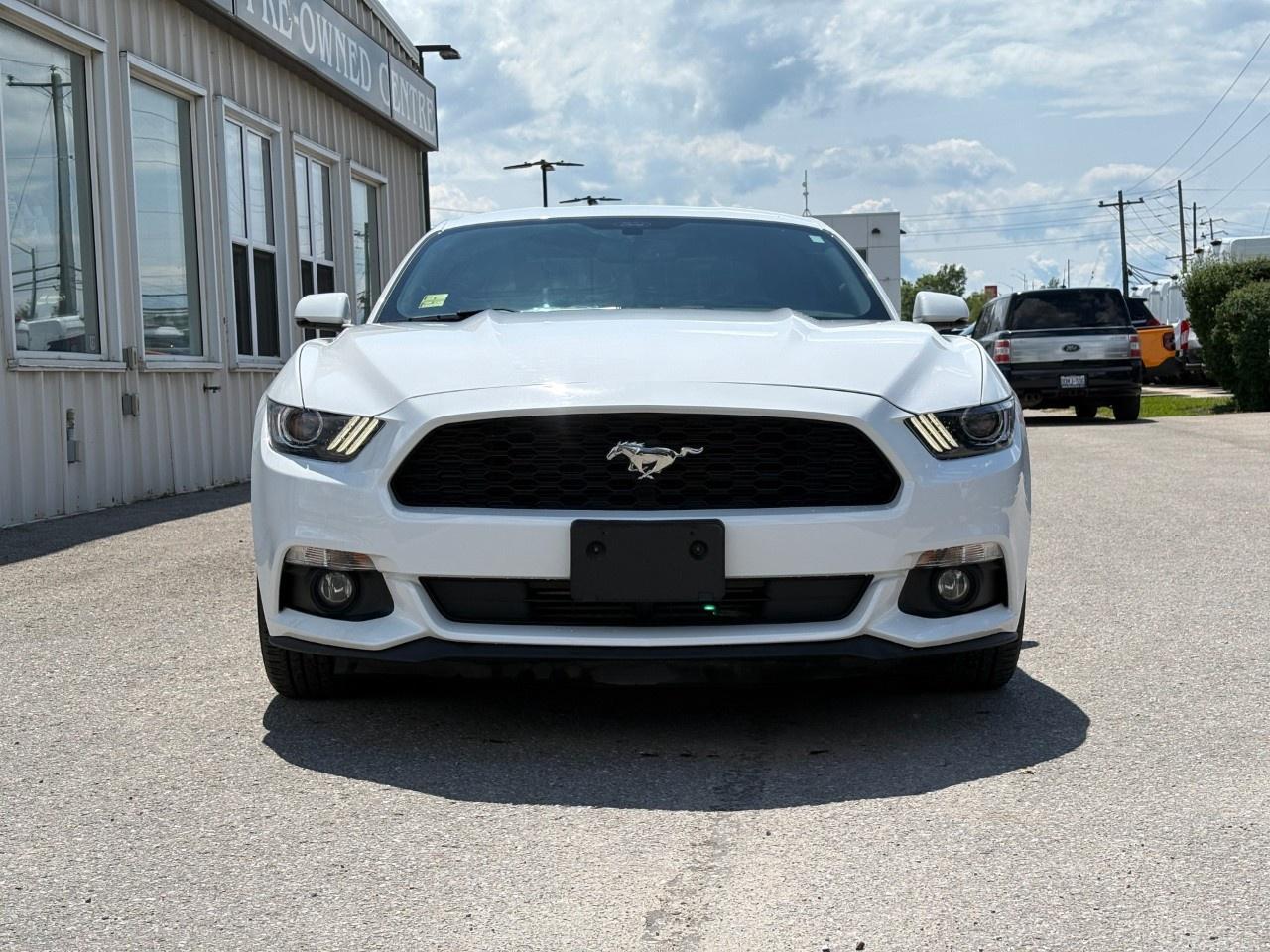 2015 Ford Mustang 2DR FASTBACK ECOBOOST PREMIUM Photo2