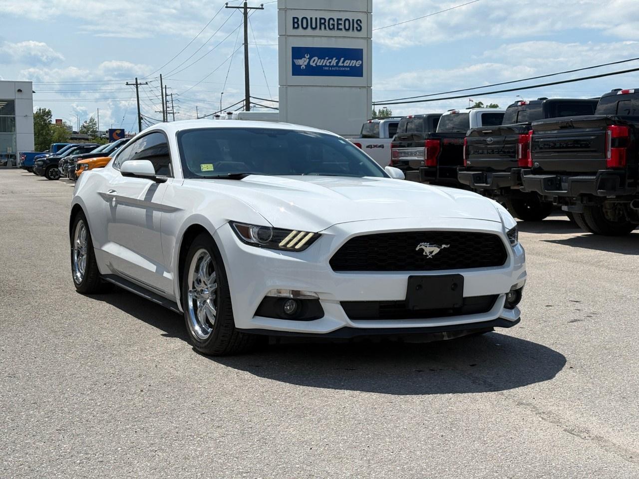 2015 Ford Mustang 2DR FASTBACK ECOBOOST PREMIUM Photo