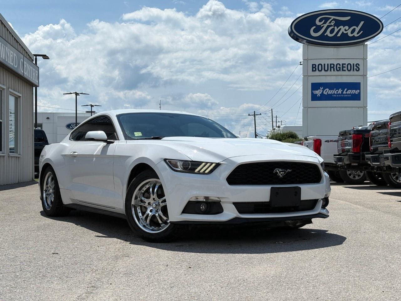 <p>Experience the thrill of the 2015 Ford Mustang EcoBoost Premium, now available for discerning drivers at Bourgeois Motors Ltd. This stunning white coupe, equipped with a responsive automatic transmission and agile rear-wheel drive, promises a dynamic journey on every ride.</p> <p>The Mustang's eye-catching exterior is beautifully complemented by sleek alloy wheels, while inside, you'll find a refined black interior designed for both comfort and style. It's the perfect ambiance for those who appreciate high-end detailing. Convenience features such as keyless entry and power windows add to a seamless driving experience.</p> <p>Loaded with technology to keep you connected and safe, this Mustang comes with a state-of-the-art backup camera and smart device integration. Stay hands-free with the Bluetooth connection and enjoy peace of mind with advanced brake assist. Whether it's commuting to work or setting off on a weekend road trip, cruise control ensures a relaxed journey.</p> <p>Perfect for the enthusiast driver or anyone looking for a stylish yet powerful ride, the 2015 Ford Mustang EcoBoost Premium is the ideal choice. Contact Bourgeois Motors Ltd. today to schedule a test drive and embrace the road with confidence.</p> <p><strong>Why Choose the Bourgeois Auto Group?</strong></p><p>For 80 years, Bourgeois Auto Group has been delivering exceptional automotive experiences. Our factor trained teams work to ensure you receive the shopping experience you deserve; whether you're looking for a new or new-to-you vehicle.</p><p>Shop 24/7 with our online showroom and chat service, ensuring convenience every step of the way. No hidden fees, full disclosure, and every pre-owned vehicle comes with a Carfax® report for peace of mind.</p><p>We offer a wide selection of pre-owned vehicles, all competitively priced using real-time market data. Get the best deal on your purchase and trade-in with our free Live Market Analysis report.</p><p>Looking to sell your car? We buy any make or modelno purchase required. Our simple to use online trade valuation tool will provide you with a clear, transparent selling experience whether you buy our car or not.</p><p>Backed by hundreds dedicated employees across 4 convenient locations, were here to meet all your automotive needs. Visit us in Midland or Parry Sound and explore our inventory or schedule your next service today.</p> <p><strong>Financing Your Next Vehicle with Bourgeois Motors Ford in Midland:</strong></p><p>At Bourgeois Motors Ford, we make financing your next vehicle simple and stress-free! Our team works with trusted lenders to find flexible options tailored to your budget. Drive away with confidenceapply today!</p><p>Take advantage of our online pre-qualification tool, backed by Equifax and TD Bank to find the payment that works for you. Simply <a href=https://www.bourgeoismotors.com/free-credit-check/ rel=nofollow><strong>CLICK HERE</strong></a><strong> </strong>to use our secure online credit tool with no impact to your credit.</p>