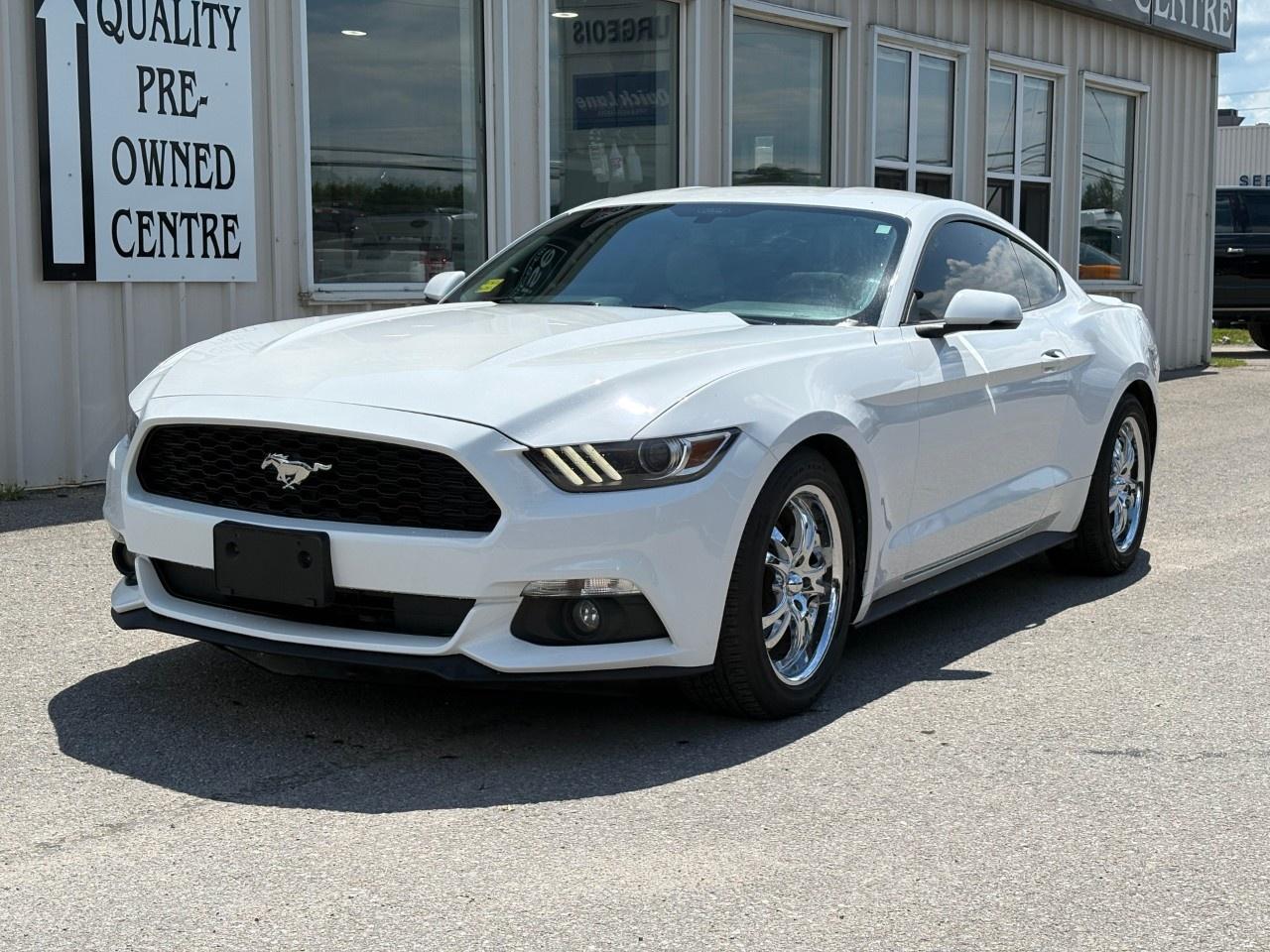 2015 Ford Mustang 2DR FASTBACK ECOBOOST PREMIUM Photo