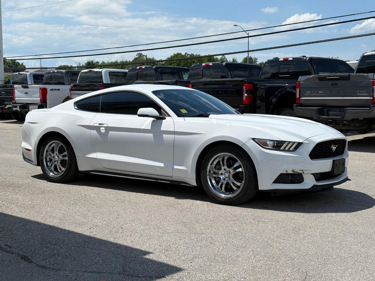 2015 Ford Mustang 2DR FASTBACK ECOBOOST PREMIUM Photo