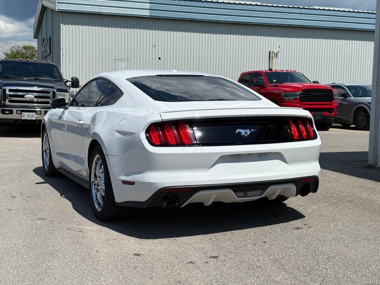 2015 Ford Mustang 2DR FASTBACK ECOBOOST PREMIUM Photo