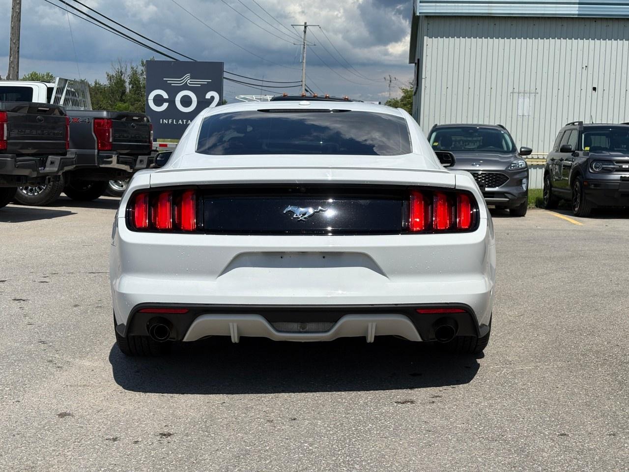2015 Ford Mustang 2DR FASTBACK ECOBOOST PREMIUM Photo