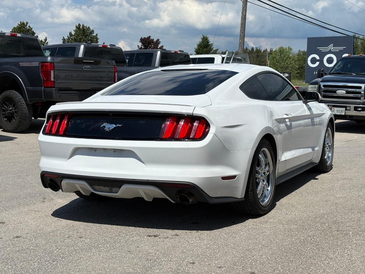 2015 Ford Mustang 2DR FASTBACK ECOBOOST PREMIUM Photo