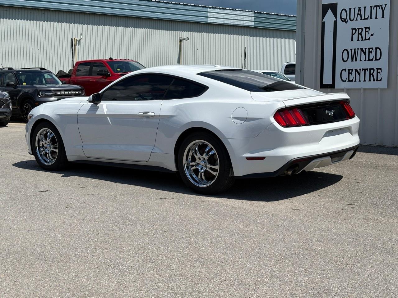 2015 Ford Mustang 2DR FASTBACK ECOBOOST PREMIUM Photo