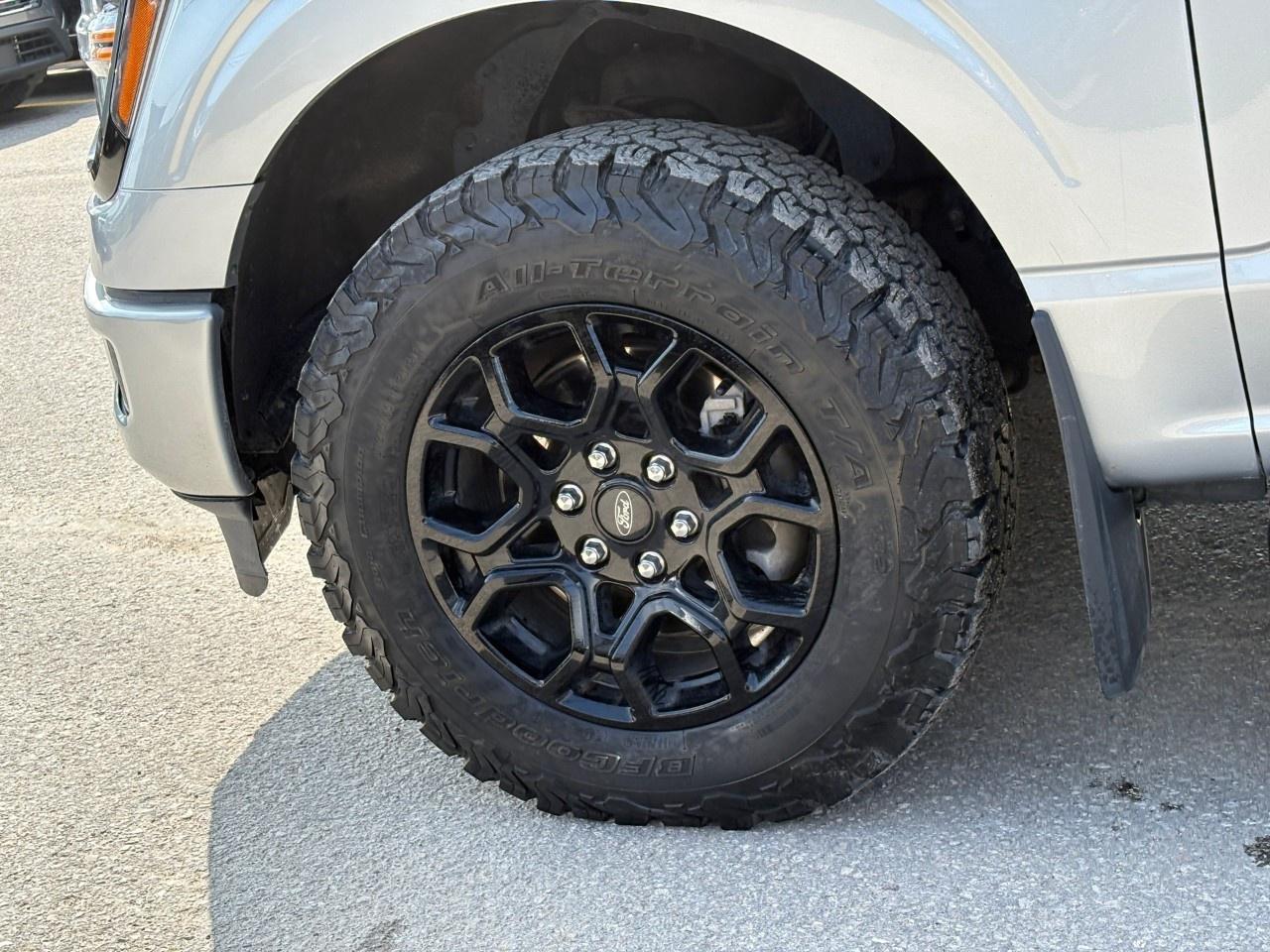 2024 Ford F-150  Photo