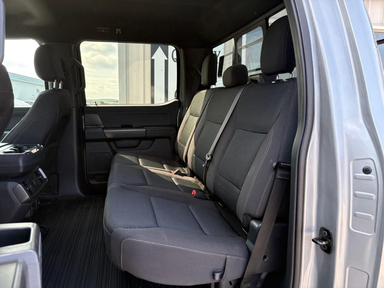 2024 Ford F-150  Photo