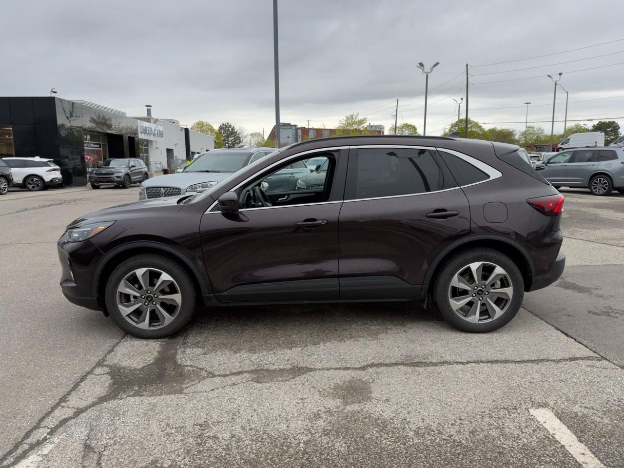 2023 Ford Escape Platinum 601A| PREMIUM TECH PK|B&O SOUND|NO ACCIDENTS|1 OWN Photo