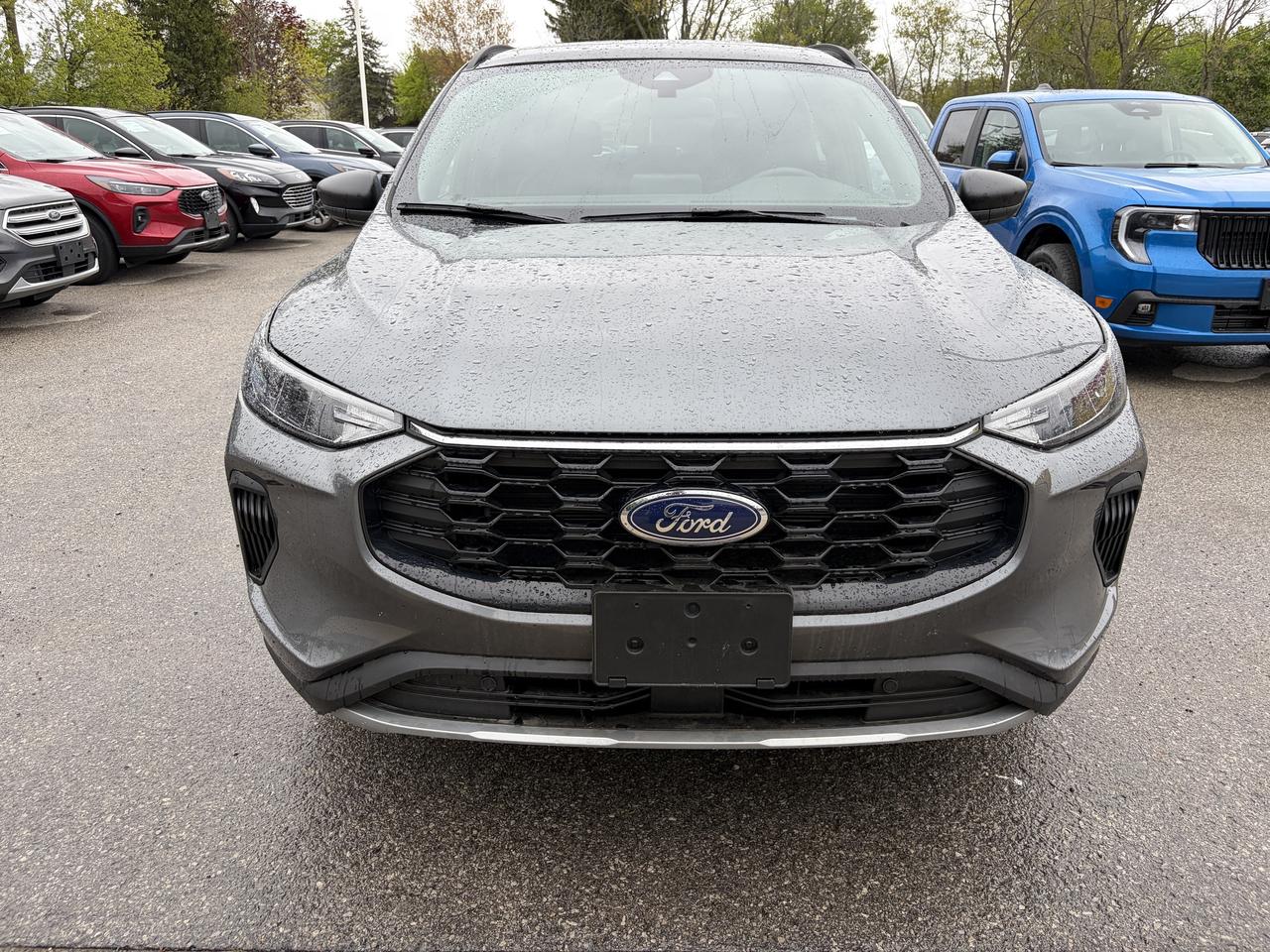 2025 Ford Escape ST-Line AWD Photo