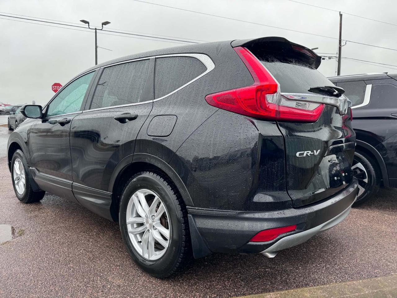 2019 Honda CR-V EX Photo