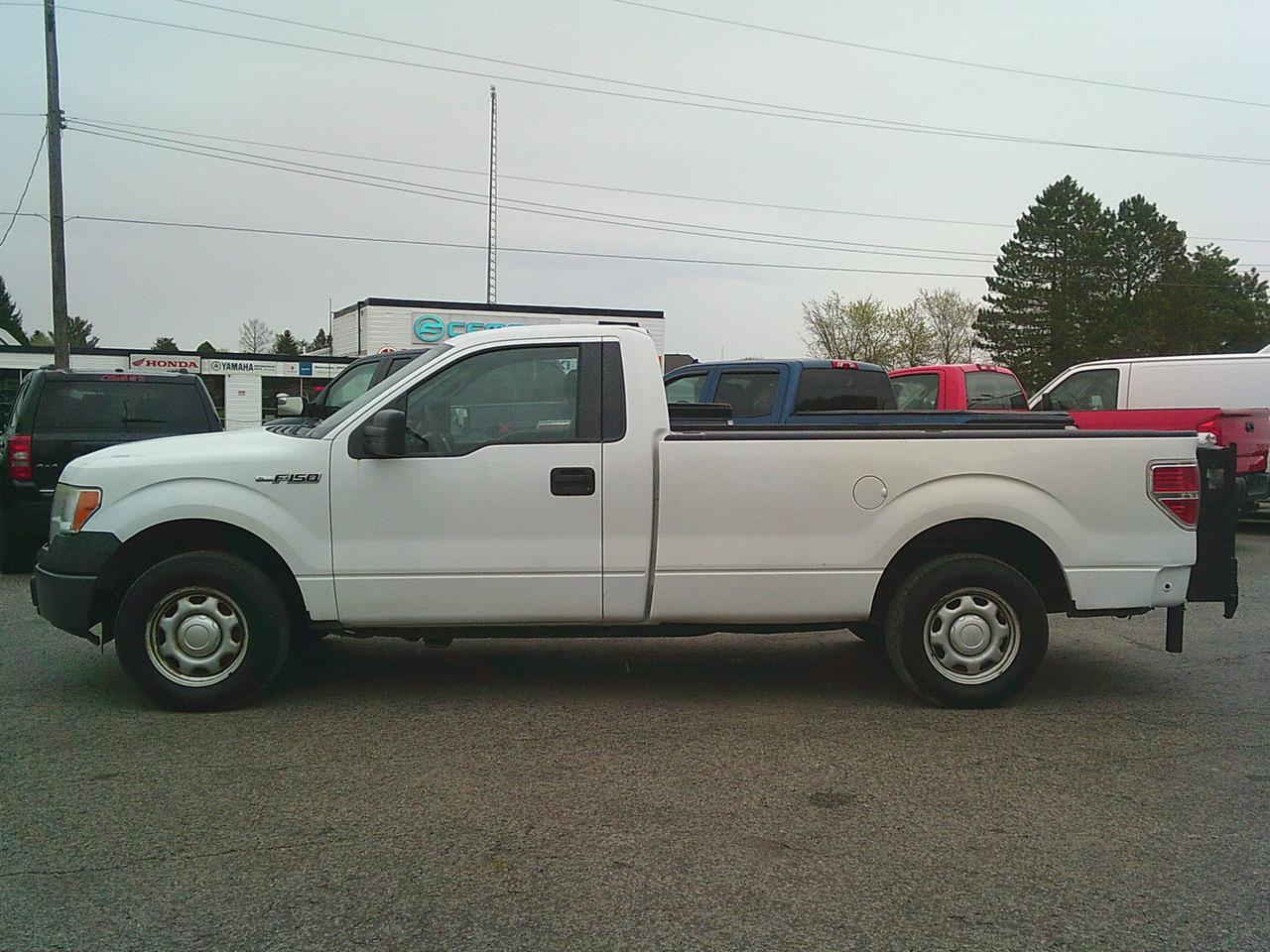 2014 Ford F-150 2WD Reg Cab 145 XL TAILGATE Photo