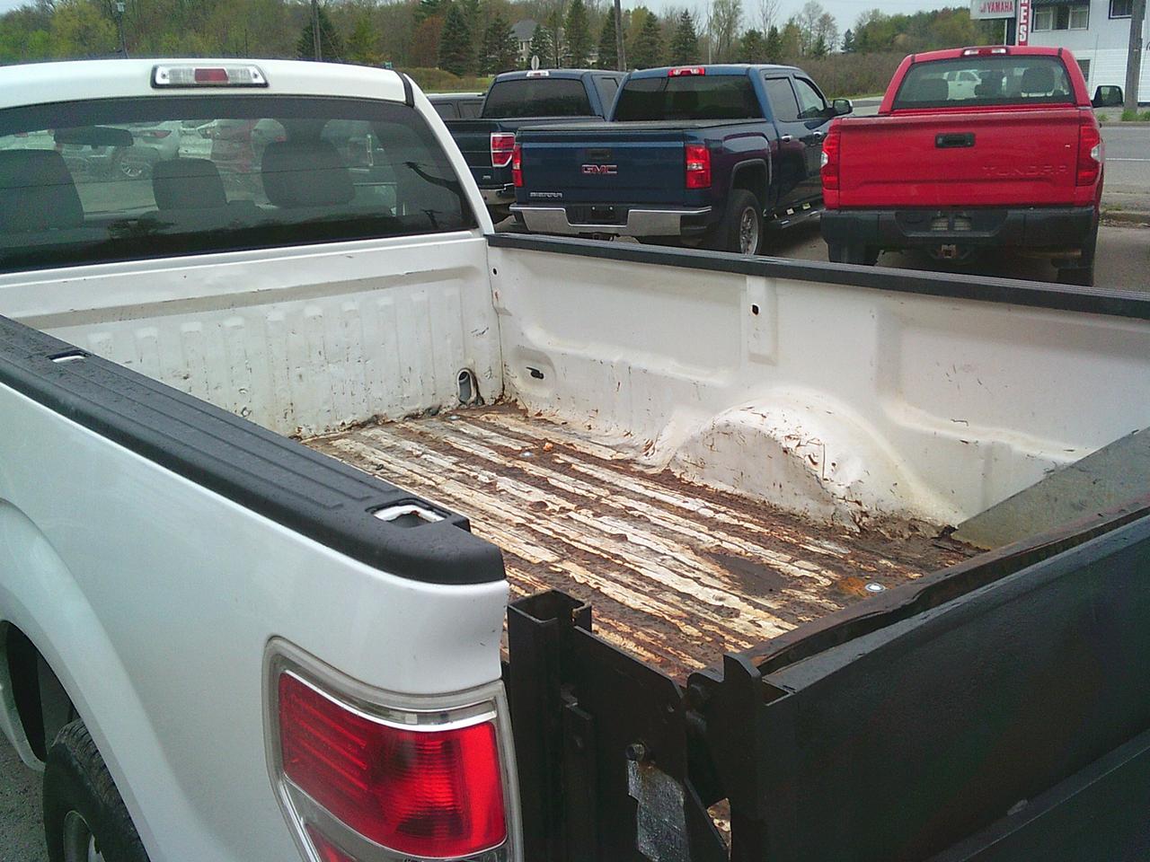 2014 Ford F-150 2WD Reg Cab 145 XL TAILGATE Photo