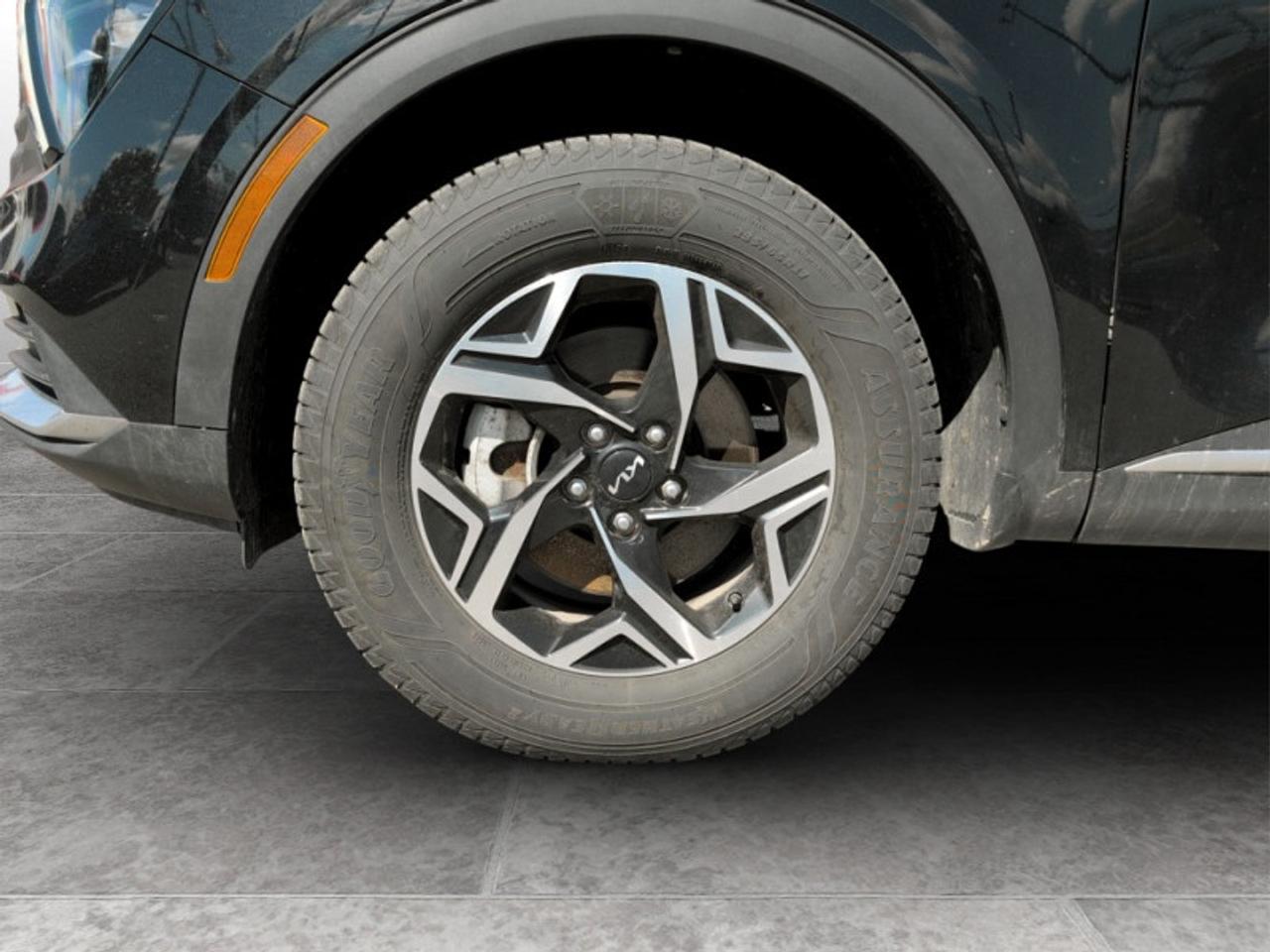 2024 Kia Sportage LX Photo