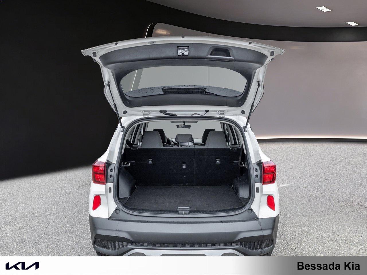 2023 Kia Seltos LX Photo