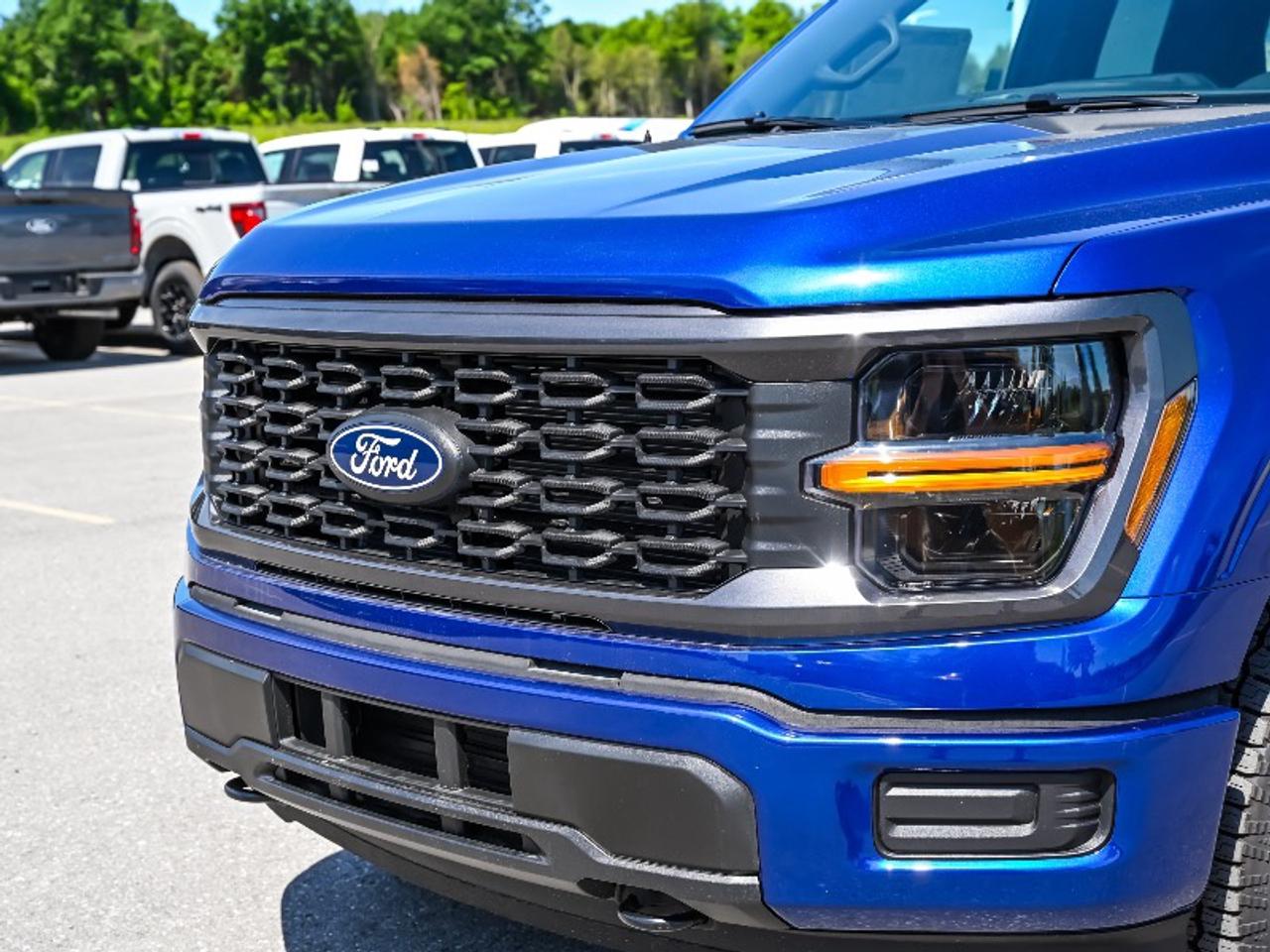 2026 Ford F-150 STX Photo