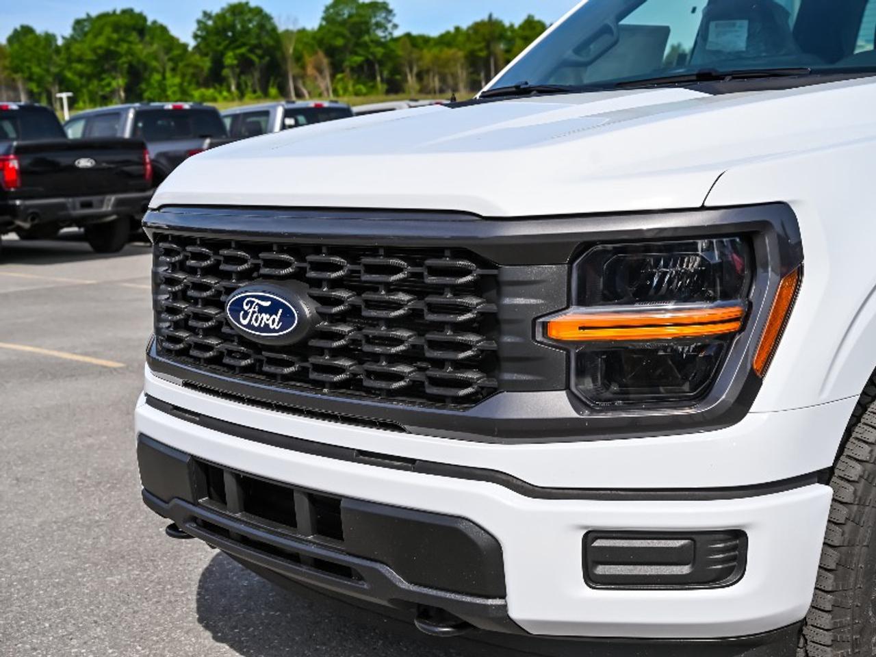 2026 Ford F-150 STX Photo